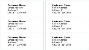 Screenshot of the Mailing Label Template