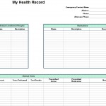 Screenshot of the Personal Health Record Template
