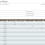 Photo of the Biweekly Timesheet Template