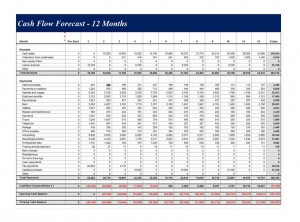 Cash Flow Forecast screenshot