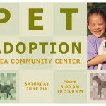 Screenshot of the Pet Adoption Template