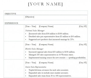 Sales Manager Resume Template screenshot