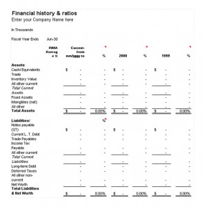 Financial History and Ratios Template Free