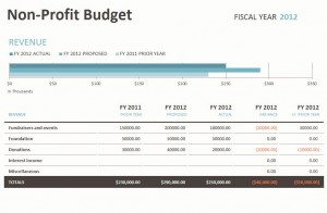 Microsoft Non Profit Budget Template