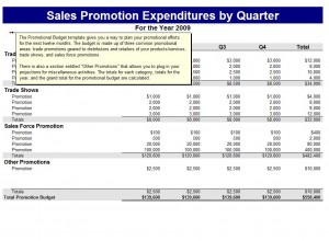 Downloadable Promotional Budget Template