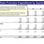 Microsoft Promotions Budget Template