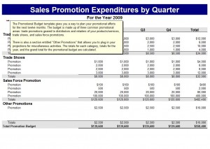 Microsoft Promotions Budget Template