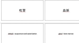 Chinese Terms Flash Cards