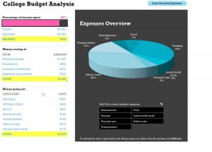 College Budget Template screenshot
