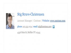 Screenshot of the Corporate Email Signature Template