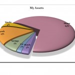 Photo of the Pie Chart Template