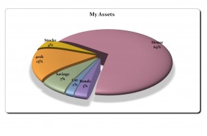 Photo of the Pie Chart Template