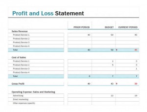 Screenshot of the Profit and Loss Statement