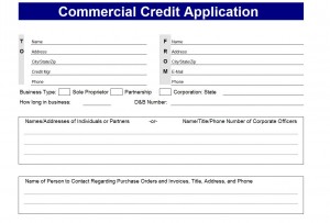 Credit Application Form screenshot