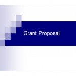 Screenshot of the Grant Proposal Template