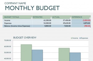 Microsoft Monthly Business Budget Template