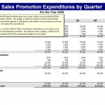 Downloadable Promotional Budget Template