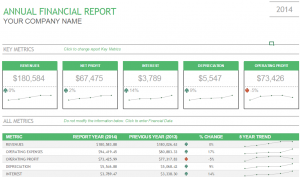 Annual Financial Report