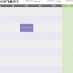 Daily Appointment Calendar