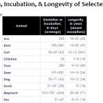 Gestation, Incubation, & Longevity of Selected Animals