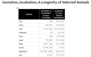 Gestation, Incubation, & Longevity of Selected Animals