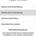 How to Transfer Data from Your Previous iPhone to Your New iPhone 7 Using iTunes